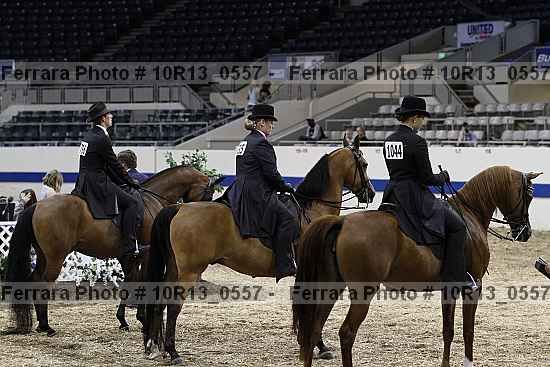 Proof 10r13_0557