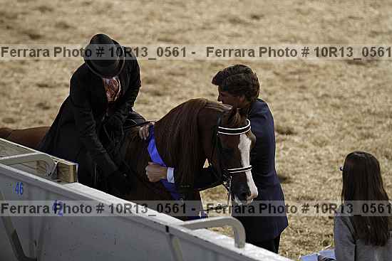 Proof 10r13_0561