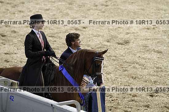 Proof 10r13_0563