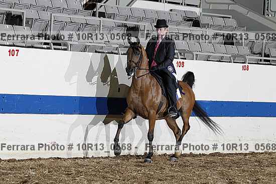 Proof 10r13_0568