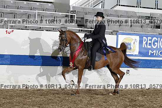 Proof 10r13_0579
