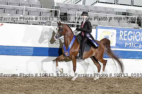 Proof 10r13_0585