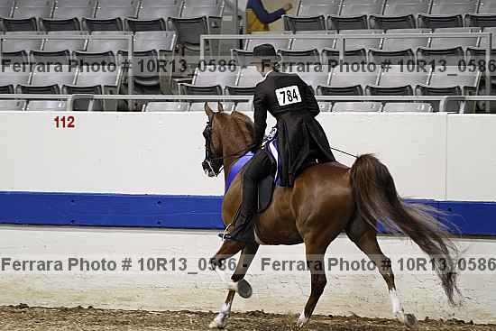 Proof 10r13_0586