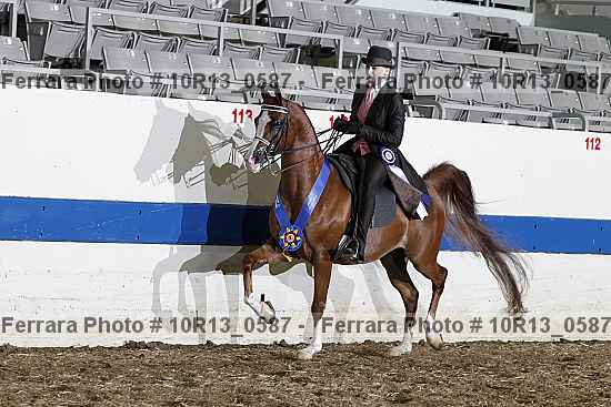 Proof 10r13_0587