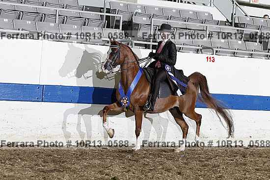 Proof 10r13_0588