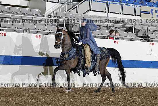 Proof 10r13_0595