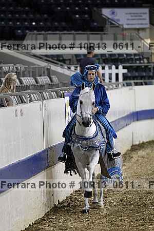 Proof 10r13_0611