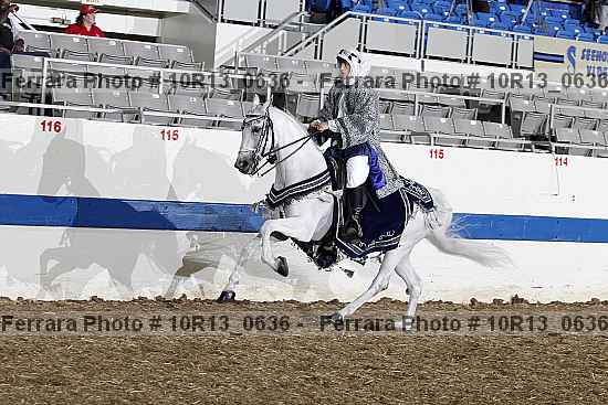 Proof 10r13_0636