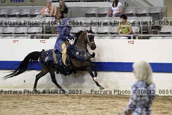 Proof 10r13_0651