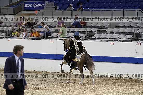 Proof 10r13_0667