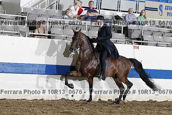 Proof 10r13_0676