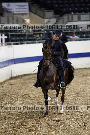Proof 10r13_0688