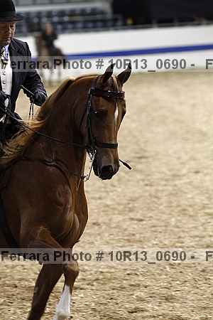 Proof 10r13_0690