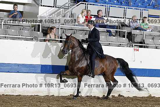 Proof 10r13_0693