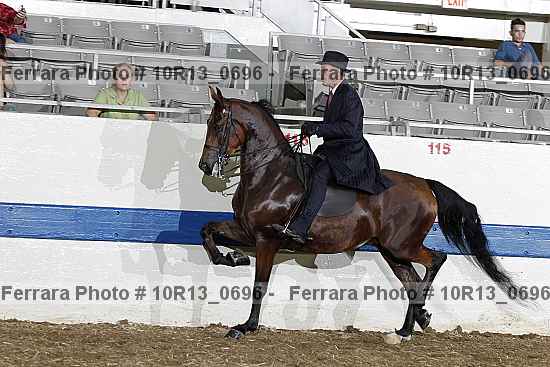 Proof 10r13_0696