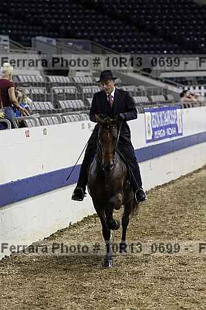 Proof 10r13_0699