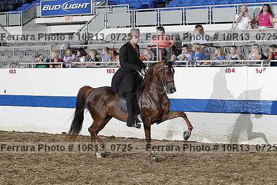 Proof 10r13_0725