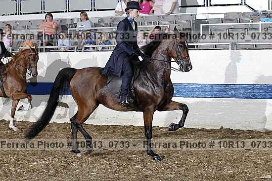 Proof 10r13_0733