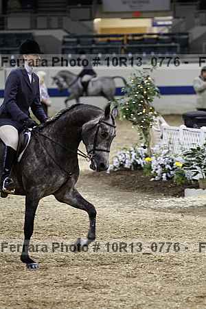 Proof 10r13_0776