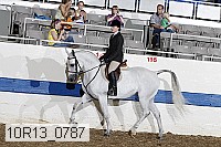 10r13_0787 proof