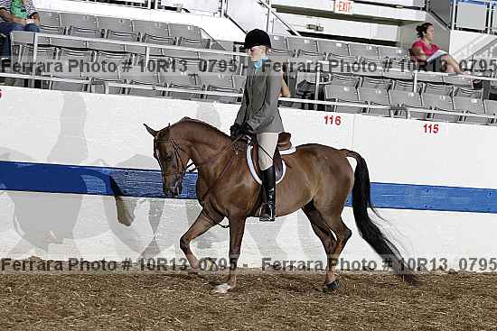 Proof 10r13_0795