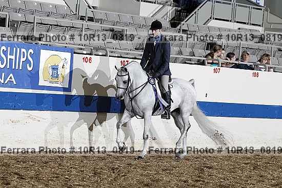 Proof 10r13_0819