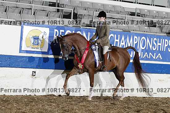 Proof 10r13_0827