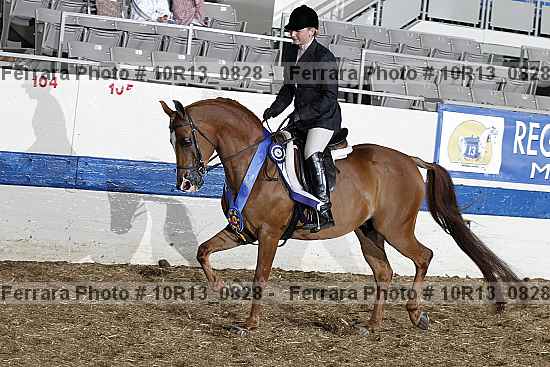 Proof 10r13_0828