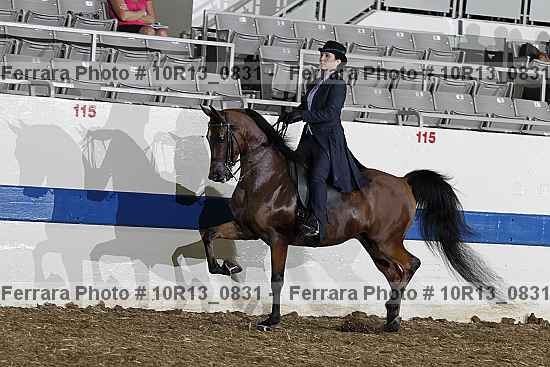 Proof 10r13_0831
