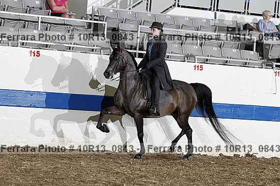 Proof 10r13_0843