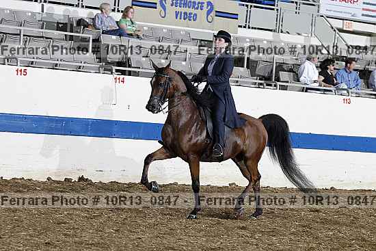 Proof 10r13_0847