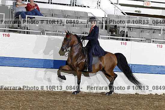 Proof 10r13_0849