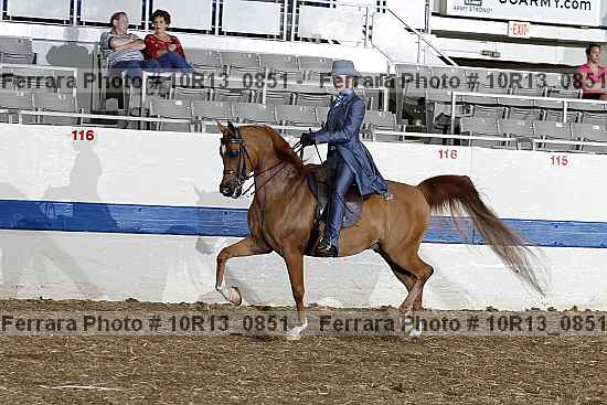 Proof 10r13_0851