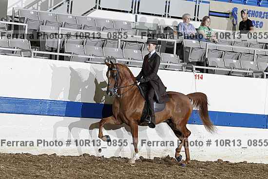 Proof 10r13_0855