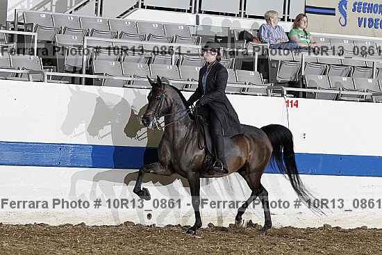 Proof 10r13_0861