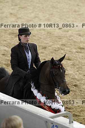 Proof 10r13_0863