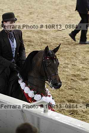 Proof 10r13_0864