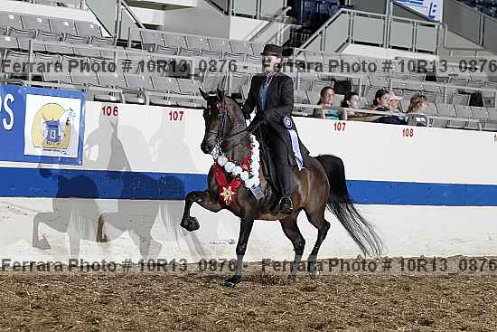 Proof 10r13_0876