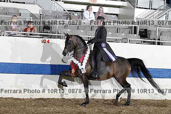 Proof 10r13_0878