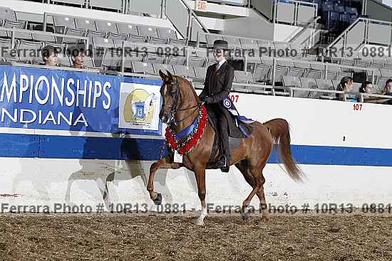 Proof 10r13_0881