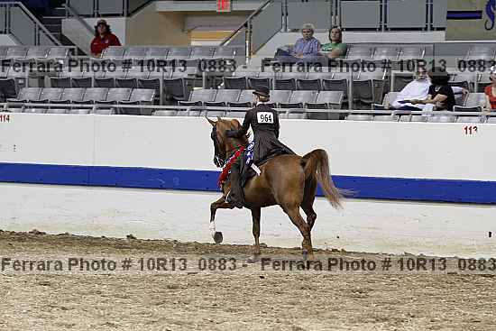 Proof 10r13_0883