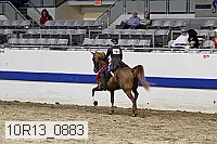 10r13_0883 proof