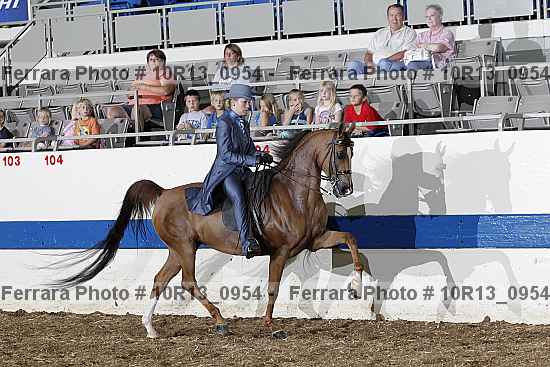 Proof 10r13_0954