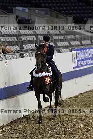 Proof 10r13_0965
