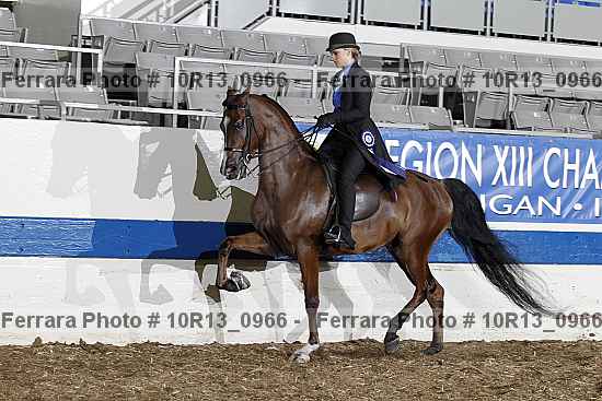 Proof 10r13_0966