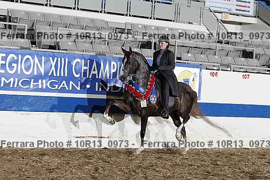 Proof 10r13_0973
