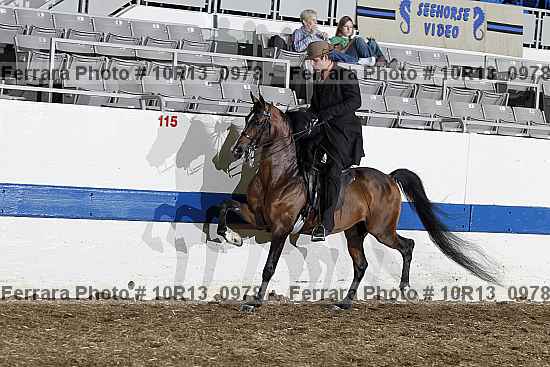 Proof 10r13_0978