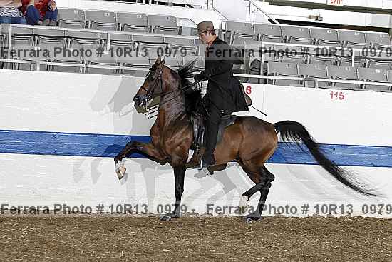 Proof 10r13_0979