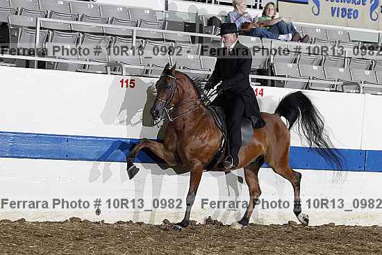 Proof 10r13_0982