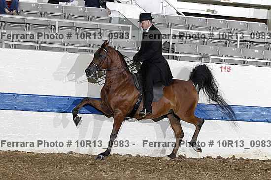 Proof 10r13_0983